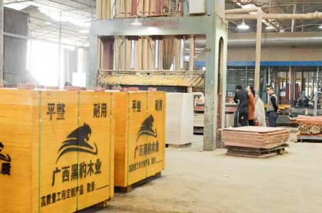 工程優選建筑模板廠家-黑豹木業